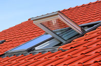 Turkey Tump roof window